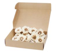 Natural Diffuser Flowers - Small Poppy on String