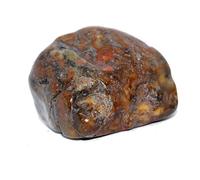 Natural Dinosaur Coprolite Fossil, Ancient Trace Fossil Specimen