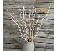 Natural Dried Curly Willow Branch 20 Pieces, Decorative Twisted White Sticks 21” with Colorful Craspedia Billy Balls 8 Pcs for Home Party Decor