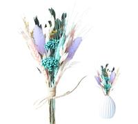 Natural Dried Flowers Bouquet Wedding Dried Flowers Table Decorations, Spring Summer Autumn Winter Home Decoration ,Each Bouquet of 12 Stems of 6 Different Dried Flowers Approx 20cm (Style 2)