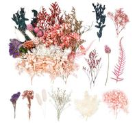 Natural Dried Flowers, Dried Pressed Flowers Leaves, Pressed Flowers for Crafts, Candle, Soap Making, Resin, Jewelry, Scrapbooking (Pink)
