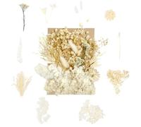 Natural Dried Flowers, Pressed Dried Flowers Crafts for DIY Arts Resin Scrapbooking Jewelry Making Card Candle Floral Decorations Gift（White）