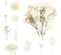 Natural Dried Flowers, Real Dried Flowers Leaves, Dried Flower for DIY Candle Resin Jewelry Nail Pendant Crafts Making Art Floral Decorations