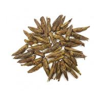 Natural Dried Grass Hoppers - Bearded Dragon Terrapin Frogs Reptile Lizard Gecko (100g)