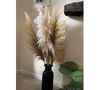 Natural Dried Large Pampas Grass, 47 inches/120 cm tall 6 stems, Extra Large and Fluffy, ideal for minimalism, rustic, boho Home Decor and Weddings, Parties | Natural Beige