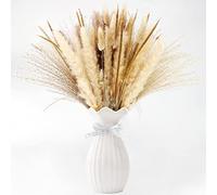 Natural Dried Pampas Grass Bouquet, 65 Pcs Fluffy Decor Artificial Phragmites Dried Flowers, Swinging DIY Boho Plant for Floral Arrangements Decorations (65pcs)