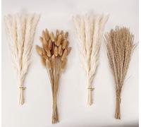 Natural Dried Pampas Grass Decor, White Pampas Grass， Bunny Tails Dried Flowers, Reed Grass Bouquet for Wedding Boho Flowers Home Table Decor, Rustic Farmhouse Party (100 in Total )