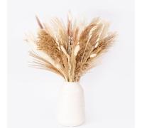Natural Dried Pampas Grass Plant Bouquet, 40 cm Tall for Autumn Home Boho Table Decor, Floral Arrangements, Home & Wedding Decorations, Dried Flowers Gifts (pampas 60pcs)