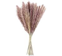 Natural Dried Pampas Grass Reed Bunch Boho Plant Dried Flowers Decor Home Decoration Bunch Arrangement Flower Vase Wedding Holiday Party DIY Valentine's Day Gifts