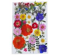 Natural Dried Pressed Mix Cherry Blossom Flowers, 48 Pieces, 8 Varieties, for Cake Decorating, Crafts and Jewelry Making (Mix flower leaf)
