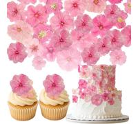 Natural Dried Pressed Mix Cherry Blossom Flowers, 48 Pieces, 8 Varieties, for Cake Decorating, Crafts and Jewelry Making