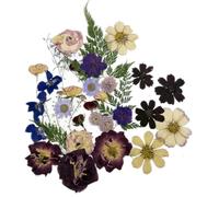 Natural Dried Pressed Mix Flowers Leaves , 35 Pieces, Many Varieties, for Cake Decorating, Jewelry Making DIY Art Crafts, Candle Making, Nails Décor, Soap Making, Phone Case