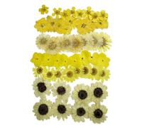 Natural Dried Pressed Mix Yellow Flowers , 48 Pieces, Many Varieties, for Cake Decorating, Jewelry Making DIY Art Crafts, Candle Making, Nails Décor, Soap Making, Phone Case