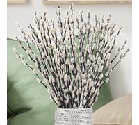 Natural Dried Pussy Willow Branches - 30PCS Real Willow Twigs for Indoor Decor, Easter Spring Arrangements, Wreath Making, and Farmhouse Home Centerpiece