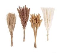 Natural Dried Rabbit Tail Grass Mixed with Pampas Grass and Miniature Ruscus for Everlasting Home and Event Decoration (HS26)