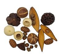 Natural Dried Seed & Pod Set - Eco-Friendly Decorative Botanicals with Bellani Pumpkins, Acorns, Bell Cups, Lotus Heads, Uxi & Canoinhas Pods - Rustic Home, Craft & Christmas Table Decorations
