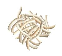 Natural Driftwood Pieces for Aquarium Decoration, 2-3 in Wood Fragments for Fish Tank Decor, DIY Aquascaping, Underwater Landscape Accents, Hiding Places and Aquatic Habitat Design