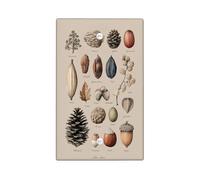 Natural Elements Light Switch Cover Plates/Outlet Covers, Earthy Brown Seed Pods for Home Decor, Thermoplastic Wall Plates, Standard Size Blank Cover Plate