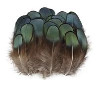 Natural Feathers Craft Feathers Decors, Natural Pheasant Feathers 3-7cm Pack of 20-500 Pieces for Crafts Jewelry Making(100 Piece)