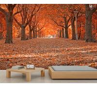 Natural Forest Mural Wallpaper Orange Leaf Forest Trail Wall Murals Autumn Woods Park Natural Scenery Wallpaper for Living Room Kitchen Dining Room 150 x 100 cm