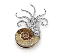 Natural Fossil Brooches Ammonite Shape Conch Shell Apparel Pin for Coat Dress Clothes Decoration