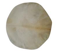 Natural Goat Skins Djembe Drum Head, Irish Bodhran, Banjo, Native Frame Drums, Conga, African Drums, Percussion Drumhead Calf Skin (24")