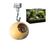 Natural Gourd Jumping Spider Enclosure - Magnetic Hiding Nest For Jumping Spiders | Durable And Safe Habitat, Easy Mount, Ideal For Jumping Spider Care And Observation, Unique Home For Spiders
