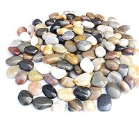 Natural Gravel for Garden Stones 2-4 cm Polished multicolored pebbles 900g