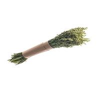 Natural Green Avena (Oat) Grass Bunch - 180 g, 65 cm Tall Rustic Dried Botanical Stems for Home Décor, Wedding & Event Floral Arrangements