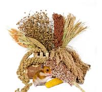 Natural Hamster Flower & Herb Habitat Deocr, Hamster Sprays Herbs Bedding Mate, Hamsters Cage Enrichment Decoration Accessories for Gerbil Dwarf Syrian Hamsters Mouse Guinea Pig Mice or Small Animals