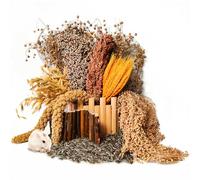 Natural Hamster Flower & Herb Habitat Deocr, Hamster Sprays Herbs Bedding Mate, Hamsters Cage Enrichment Decoration Accessories for Gerbil Dwarf Syrian Hamsters Guinea Pig Mice or Small Animals