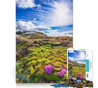 Natural Hard Jigsaw Puzzle for Adults 1000 Pieces Strong Logic Toy Bonding Time Clear Edge (38x26cm)