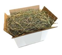 Natural Hay for Rabbits 10 kg | Bale of Italian Sun-Dried Mountain Meadow Hay | Food for Guinea Pigs, Chinchillas, Dwarf Congilians, Horses, Chickens and Rodents