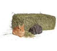 Natural Hay for Rabbits 5 kg | Bale of Italian Sun-Dried Mountain Meadow Hay | Food for Guinea Pigs, All Rodents, Horses, Sheep, Goats, Livestock | High Quality