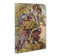 Natural History Chameleons Canvas Print | Gallery Wrapped 30mm Frame Wall Art | 24x16 inches | Ready to Hang | Retro Picture | Living Room Bedroom Lounge Office