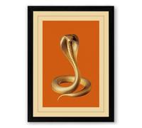 Natural History Cobra Vintage Framed Wall Art Print A1 (84.1×59.4cm) Black, Wall Decor for Living Room, Bedroom, Office & Home, Ready to Hang, Art Gift