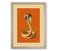 Natural History Cobra Vintage Framed Wall Art Print A1 (84.1×59.4cm) Oak, Wall Decor for Living Room, Bedroom, Office & Home, Ready to Hang, Art Gift