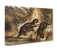 Natural History European Otter Canvas Print | Gallery Wrapped 30mm Frame Wall Art | 30x20 inches | Ready to Hang | Retro Animal Picture | Living Room Bedroom Lounge Office