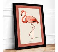 Natural History Flamingo Vintage Framed Wall Art Print A1 Black