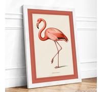 Natural History Flamingo Vintage Framed Wall Art Print A3 White