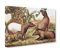 Natural History Indian & South American Tapirs Canvas Print | Gallery Wrapped 30mm Frame Wall Art | 24x16 inches | Ready to Hang | Retro Picture | Living Room Bedroom Lounge Office