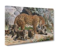 Natural History Leopards Vintage Canvas Wall Art Print Ready to Hang, Framed Picture for Living Room Bedroom Home Office Décor, 30x20 Inch (76x50 cm)