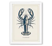 Natural History Lobster Vintage Framed Wall Art Print A3 (42×29.7cm) White, Wall Decor for Living Room, Bedroom, Office & Home, Ready to Hang, Art Gift