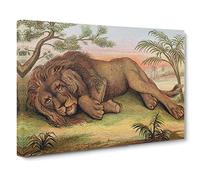 Natural History Male African Lion Canvas Print | Gallery Wrapped 30mm Frame Wall Art | 24x16 inches | Ready to Hang | Retro Animals Picture | Living Room Bedroom Lounge Office