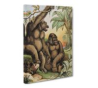 Natural History Male & Female Gorillas Canvas Print | Gallery Wrapped 30mm Frame Wall Art | 30x20 inches | Ready to Hang | Retro Animal Picture | Living Room Bedroom Lounge Office