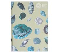 Natural History Museum A5 Shells Hardback Sketchbook, White Paper, Ideal Sketchbook for Adults, Art Notebook for Artists and Kids, Creative Book for Paint, Pencil, Drawing, Doodling, and Colouring