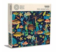 Natural History Museum Array of Marine Life Illustrations 1000 Piece Jigsaw Puzzle