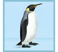 Natural History Museum - King Penguin Blank Greeting Card with Envelope