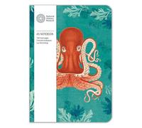 Museums & Galleries Natural History Museum Octopus A5 Notebook