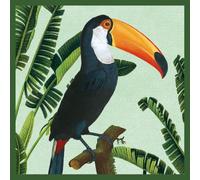 Natural History Museum Toco Toucan Blank Greeting Card with Envelope